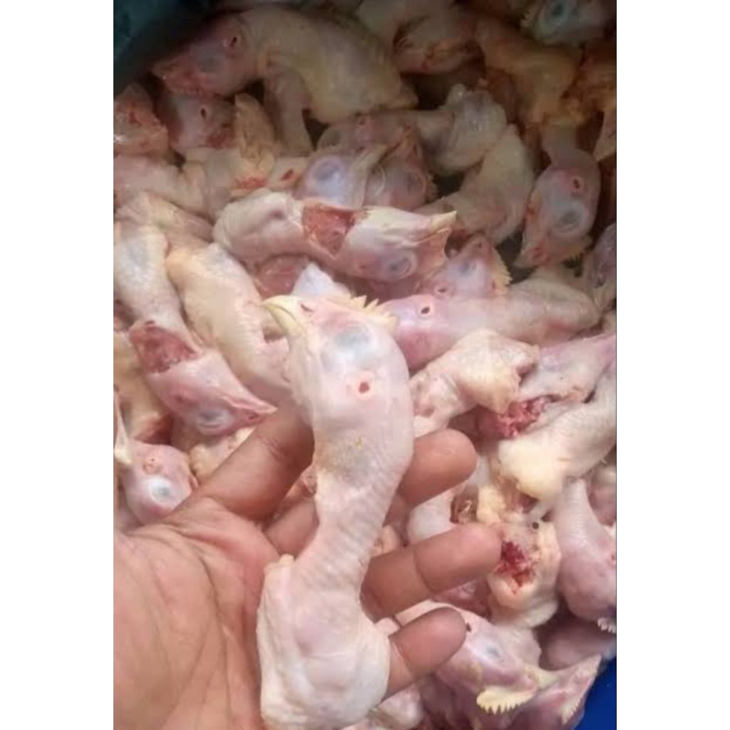 

Kepala Ayam Broiler Segar 1 kg