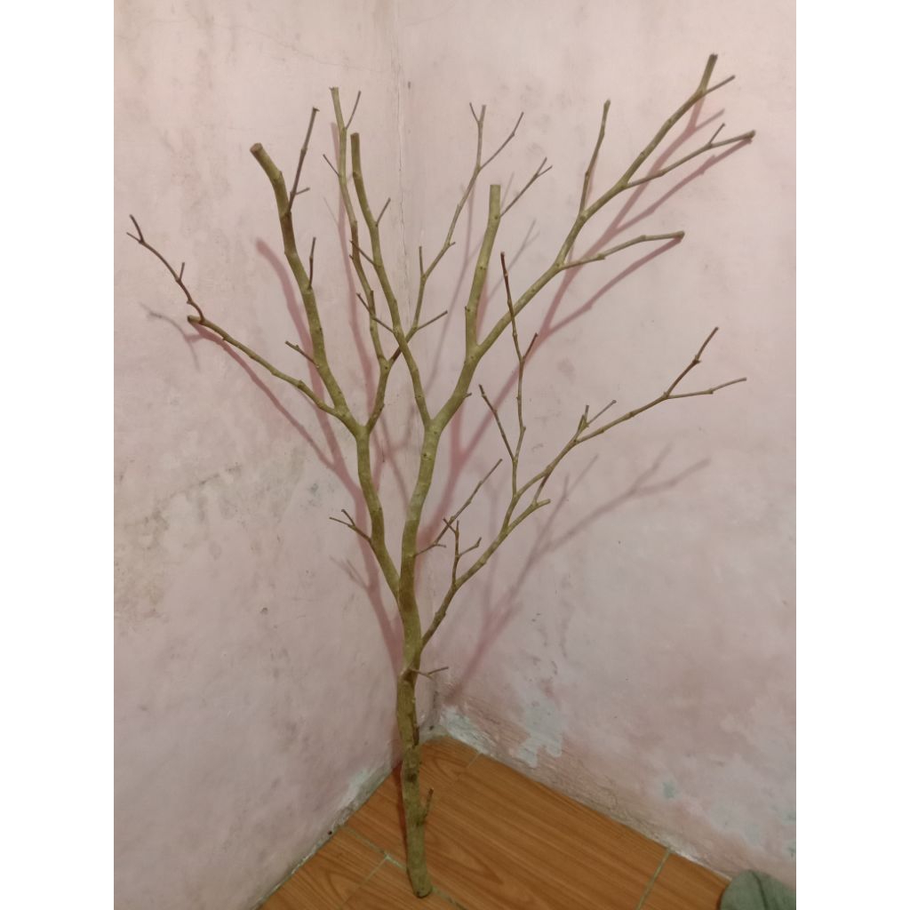 Ranting Kayu Rimbun, Hiasan Dekorasi,Ranting Bercabang Lebat