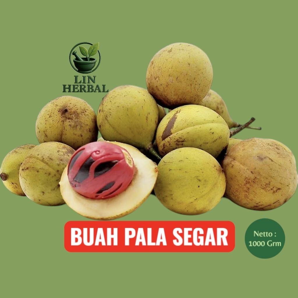 

Buah Pala Segar & Buah Petik Order Pala Muda 1000 Grm