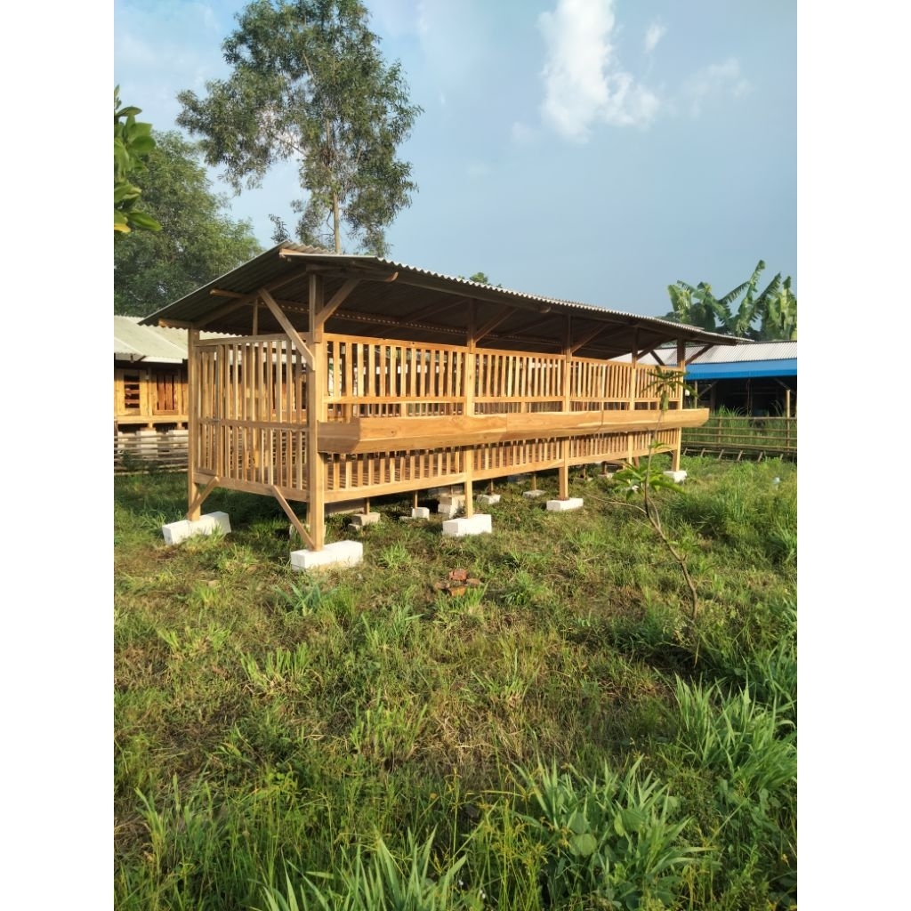 kandang kambing#Kandang Domba Koloni