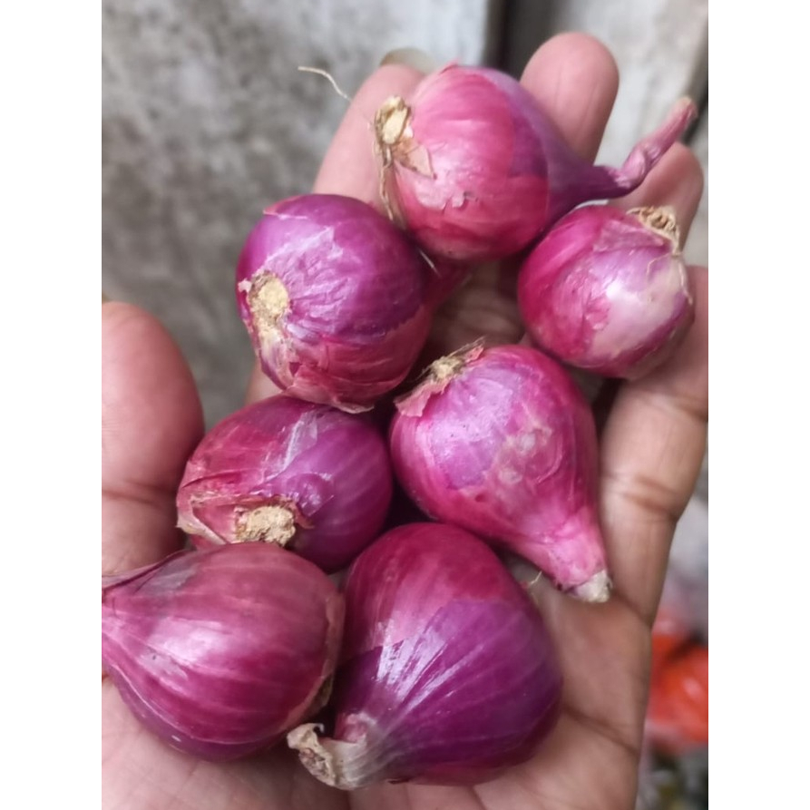 

BAWANG MERAH KECIL KERING CAMPUR MURAH 1KG 500 GRAM BREBES ASLI BESAR