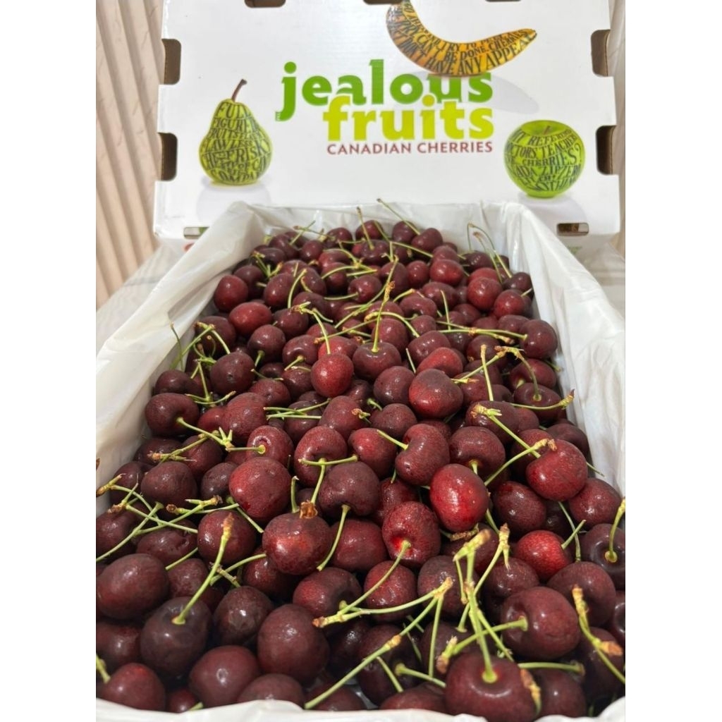 

Buah Cherry Fresh import kemasan box 5kg