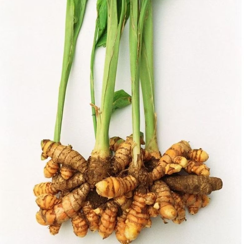 

Kunyit Kuning Fresh | Bumbu Dapur | Rempah Sehat Alami 1kg +Bonus