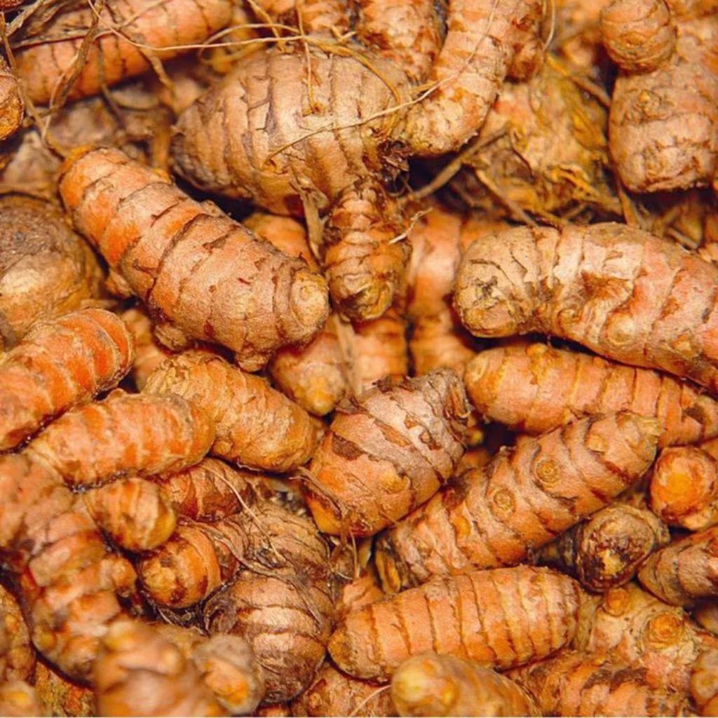 

Kunyit Segar _ Rempah Herbal (500Gram) Berkualitas untuk Masakan & Kesehatan