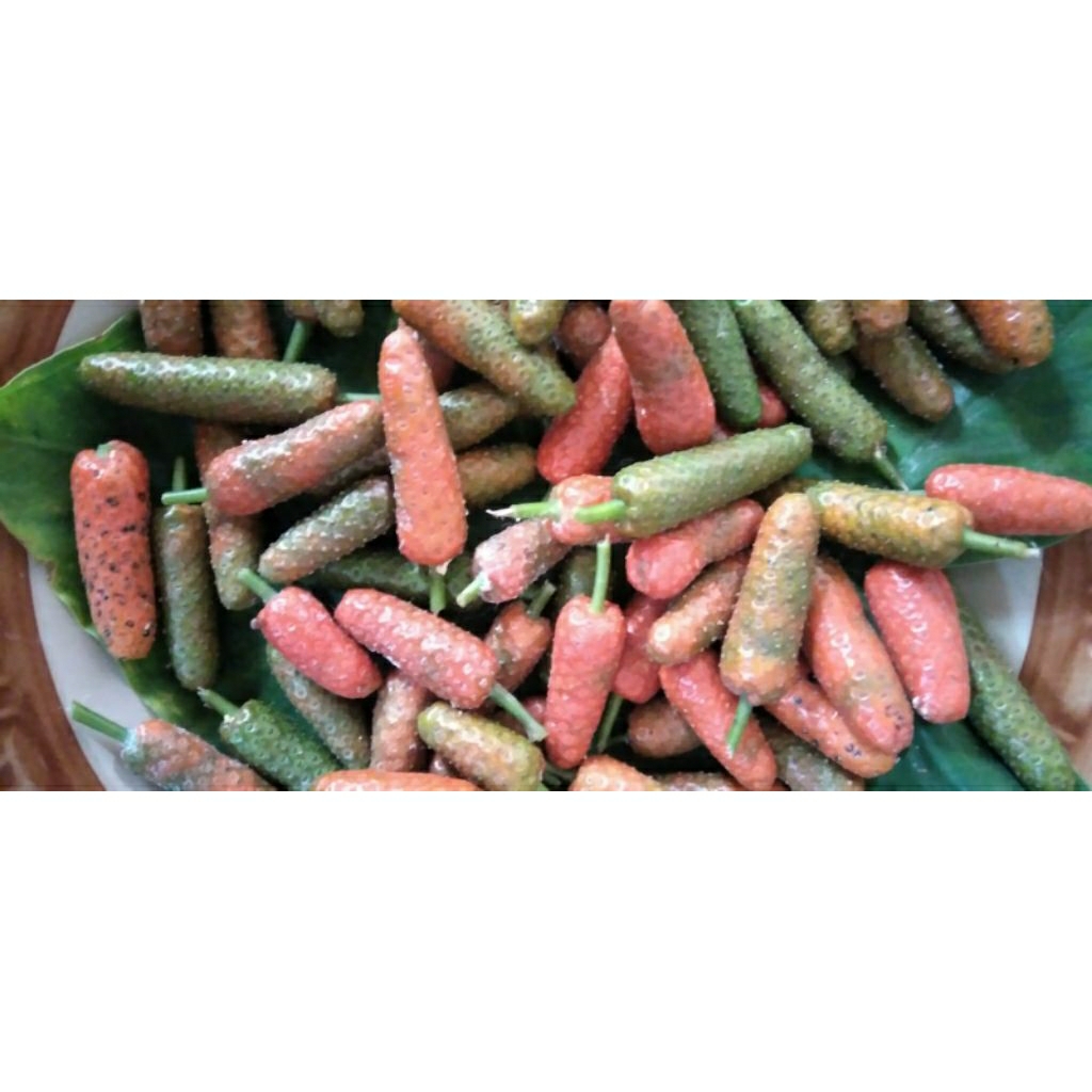 

Buah Cabe Jawa / Madura / Jamu petik segar