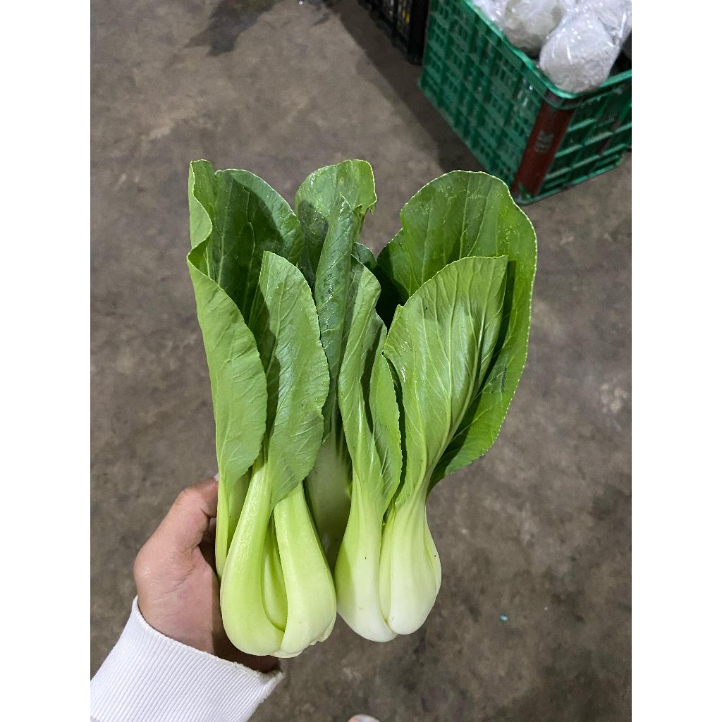 

Pakchoy 250gr | Sawi Sendok Segar Premium | Sayuran Fresh Tani Kita Lembang