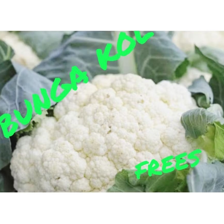 

kembang kol 1kg/ Burkoli lembang
