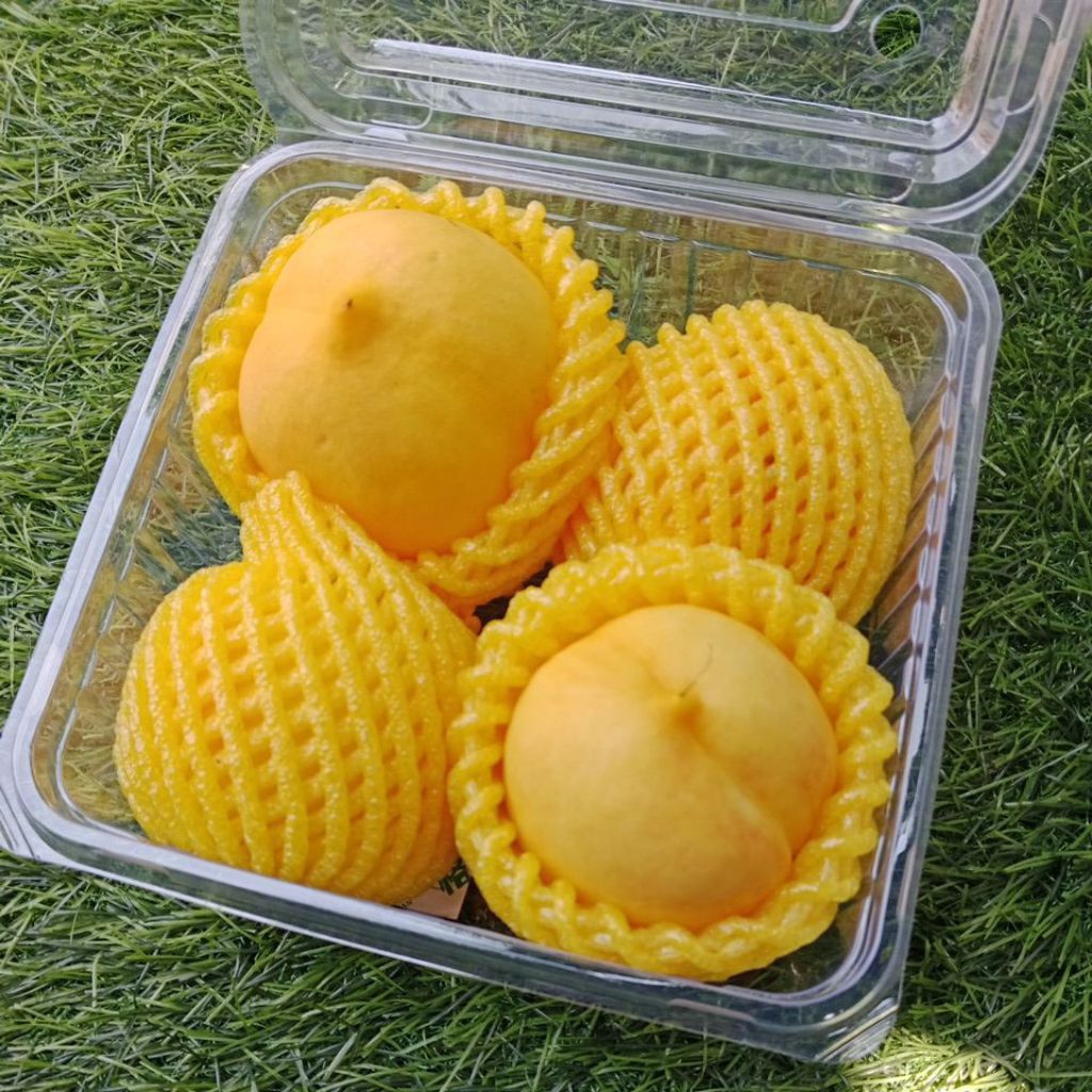 

Yellow Nectarin Donat