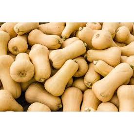 

Butternut 1pc | Labu Butternut Segar Premium | Sayuran Fresh Tani Kita Lembang