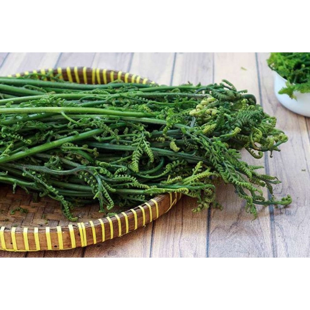 

pakis sayur segar per 1kg