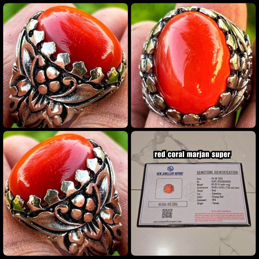 natural batu coral marjan merah asli yemen kelas kontes