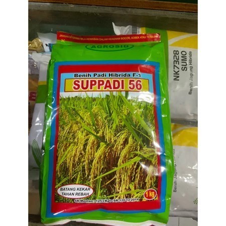 

Benih Padi HIBRIDA SUPPADI 56 / Benih Padi Supadi 56 BISA (COD)