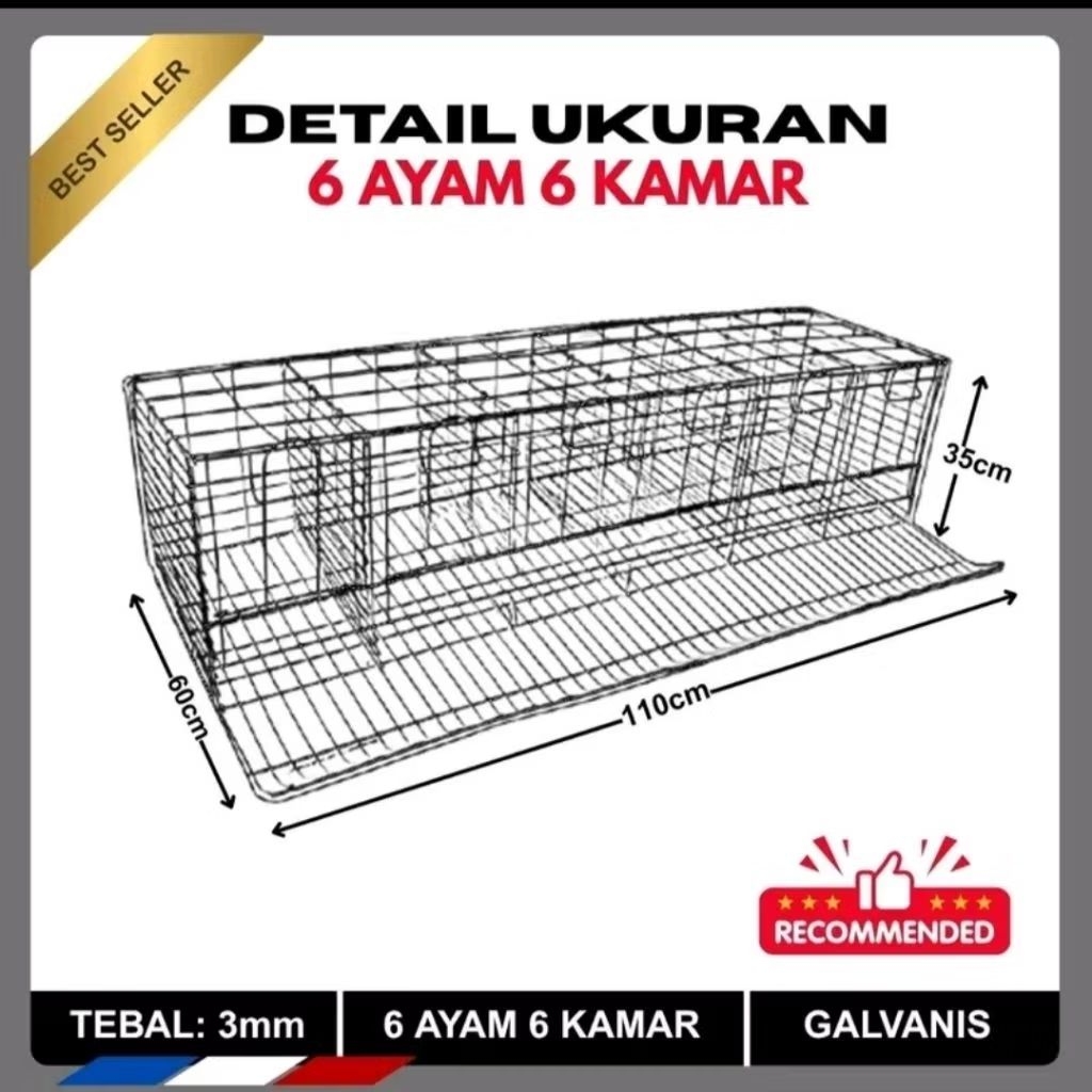 Kandang Baterai Ayam Petelur 6 Pintu Isi 6 | Kandang Ayam Besi Galvanis Anti Karat