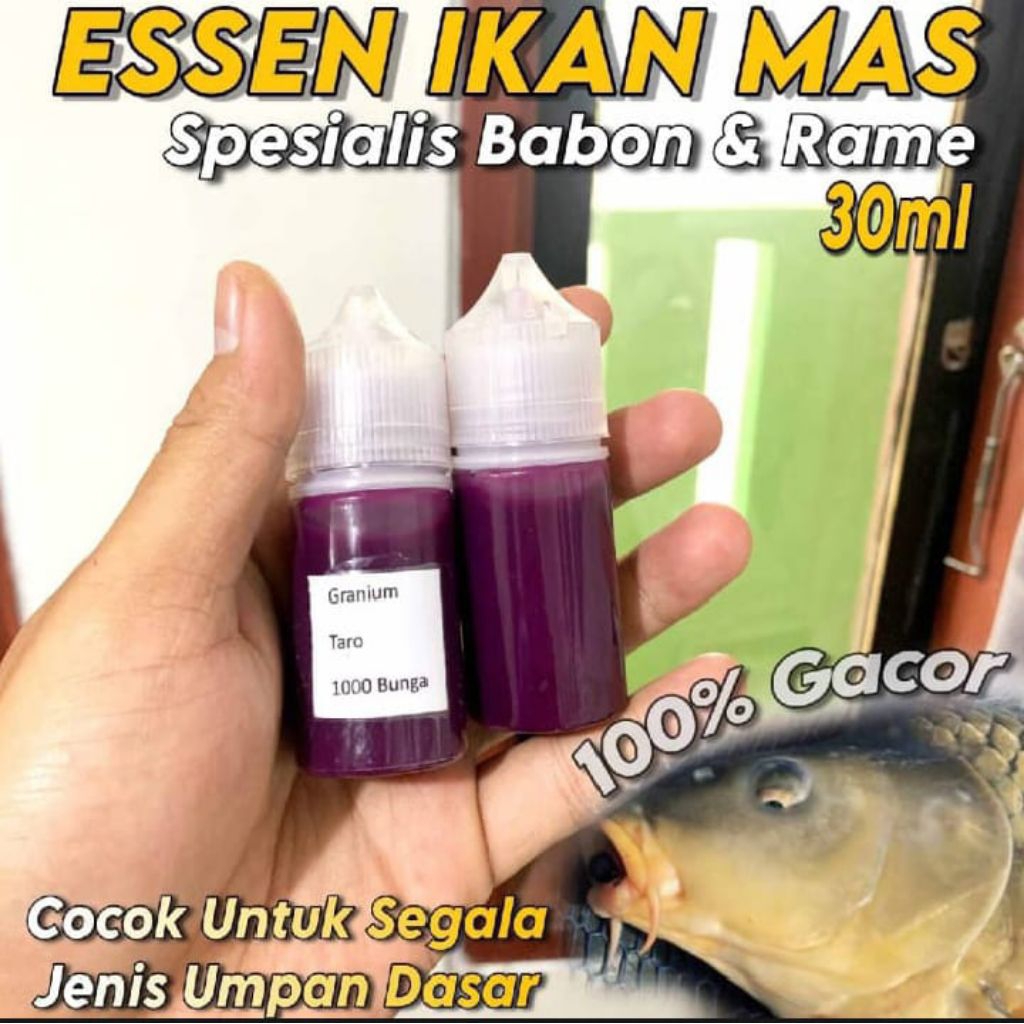 Essen Spesial ikan mas aroma granium taro 1000 buah
