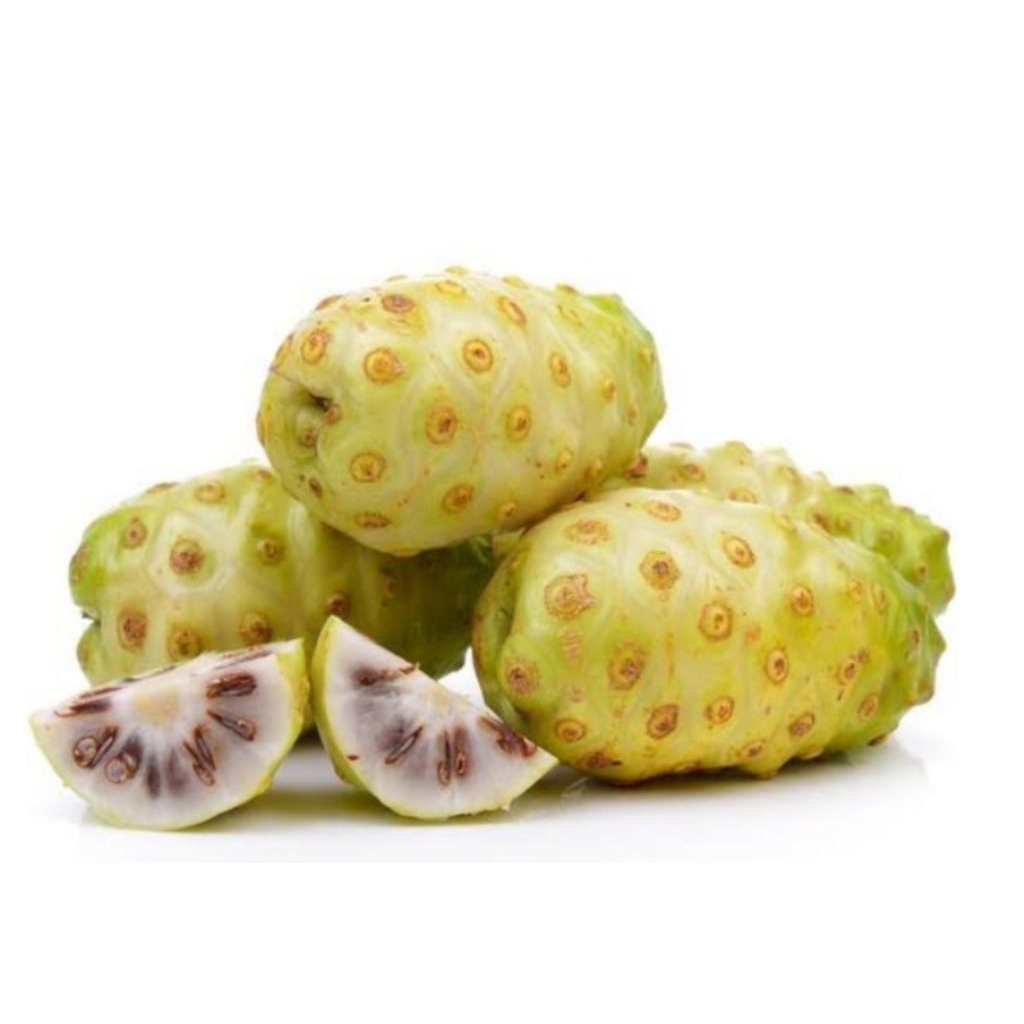 

Buah Mengkudu/per kg