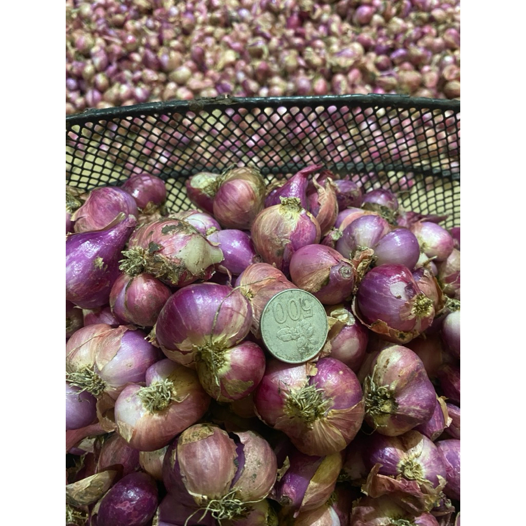 

PROMO BAWANG MERAH SEDANG BESAR ASLI NGANJUK JAWATIMUR