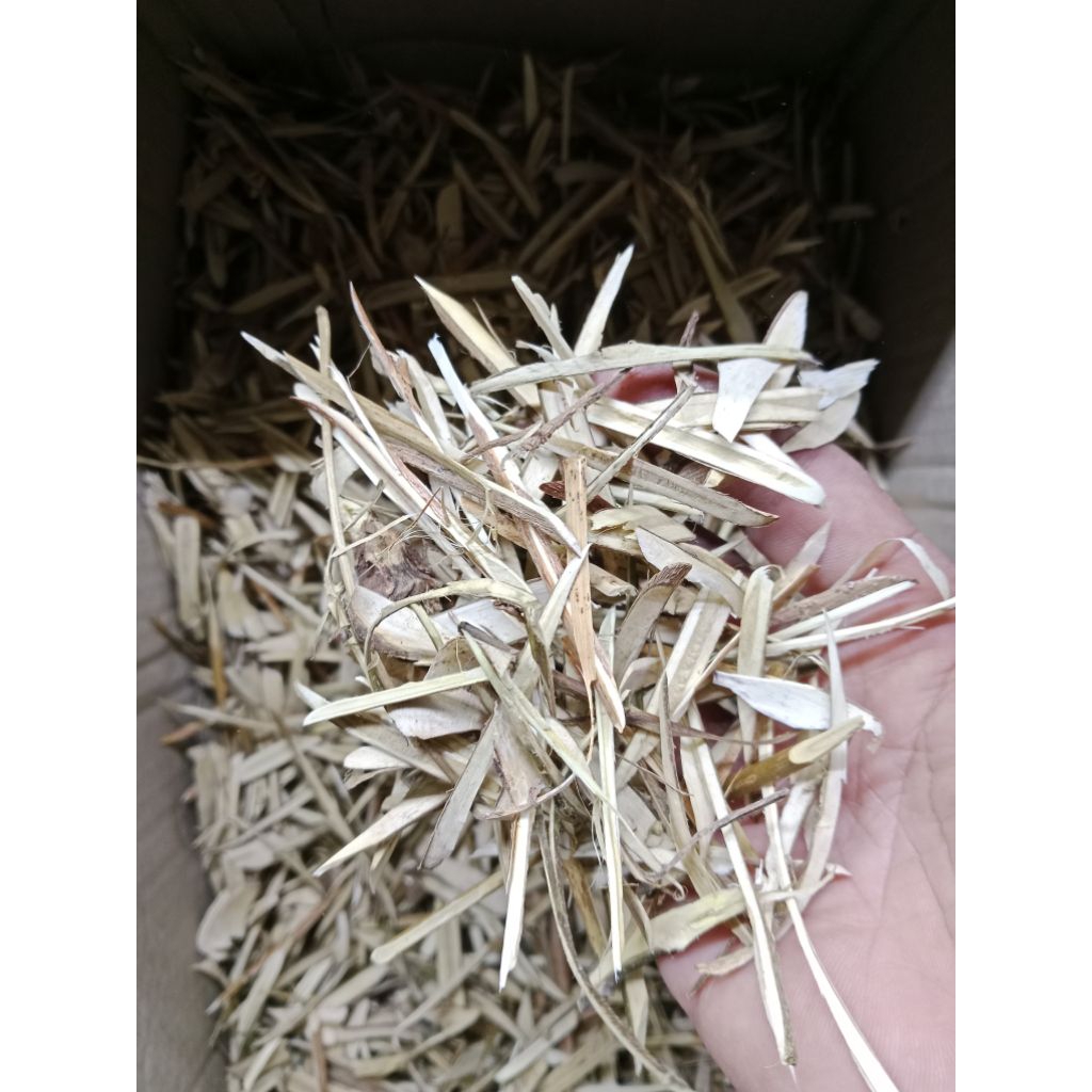 batang pat kua kering 25gr / pak kua / patkua /pakkua