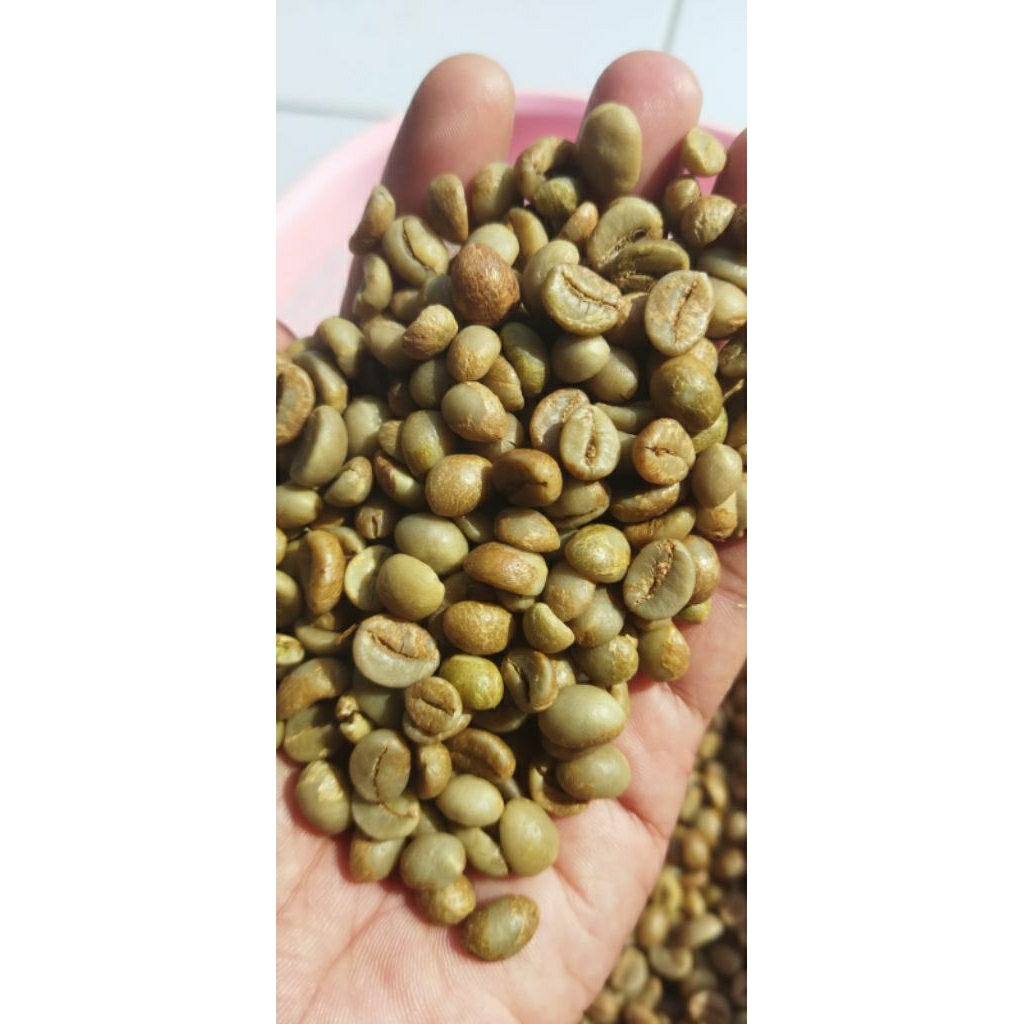 

Green Bean robusta Kagura coffee GEONIA (grade size 1kg)