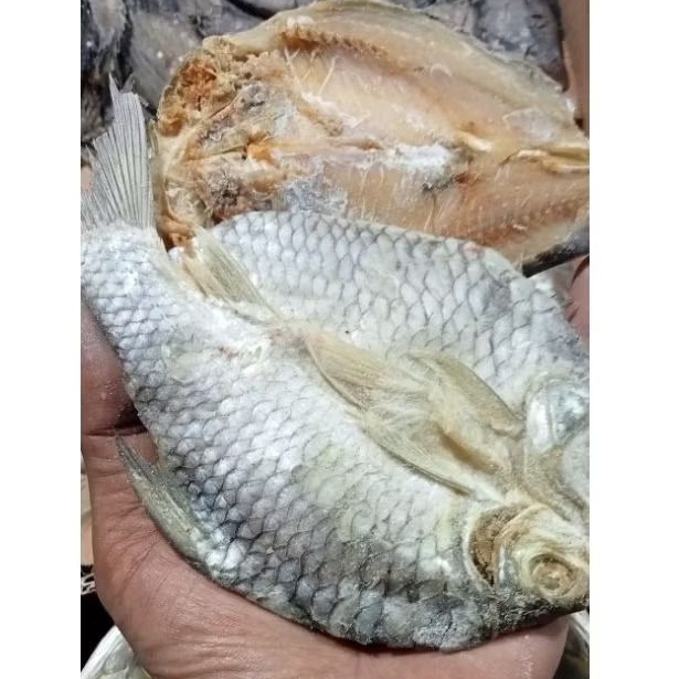 

ikan@laut@asin(rarancak)