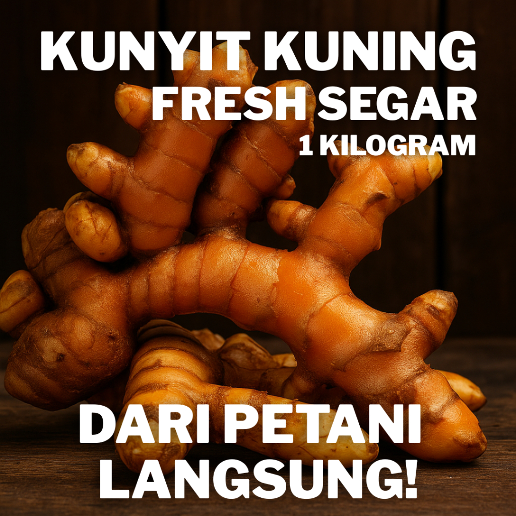 

Kunyit Kuning 1 Kilogram SEGAR FRESH Besar Besar Sudah Tua Dari Petani Langsung