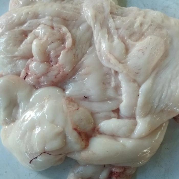 

Lemak Kambing / Domba 500 gram