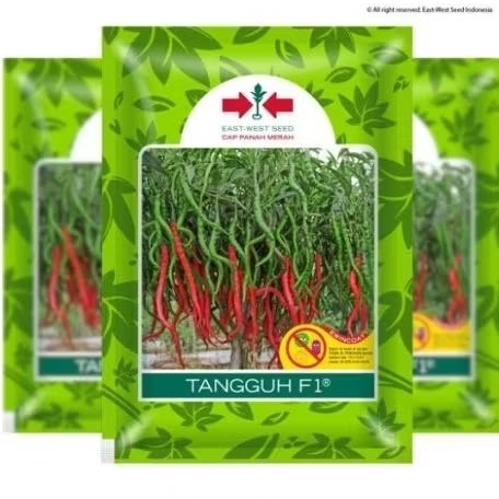 

cabai merah keriting tangguh f1