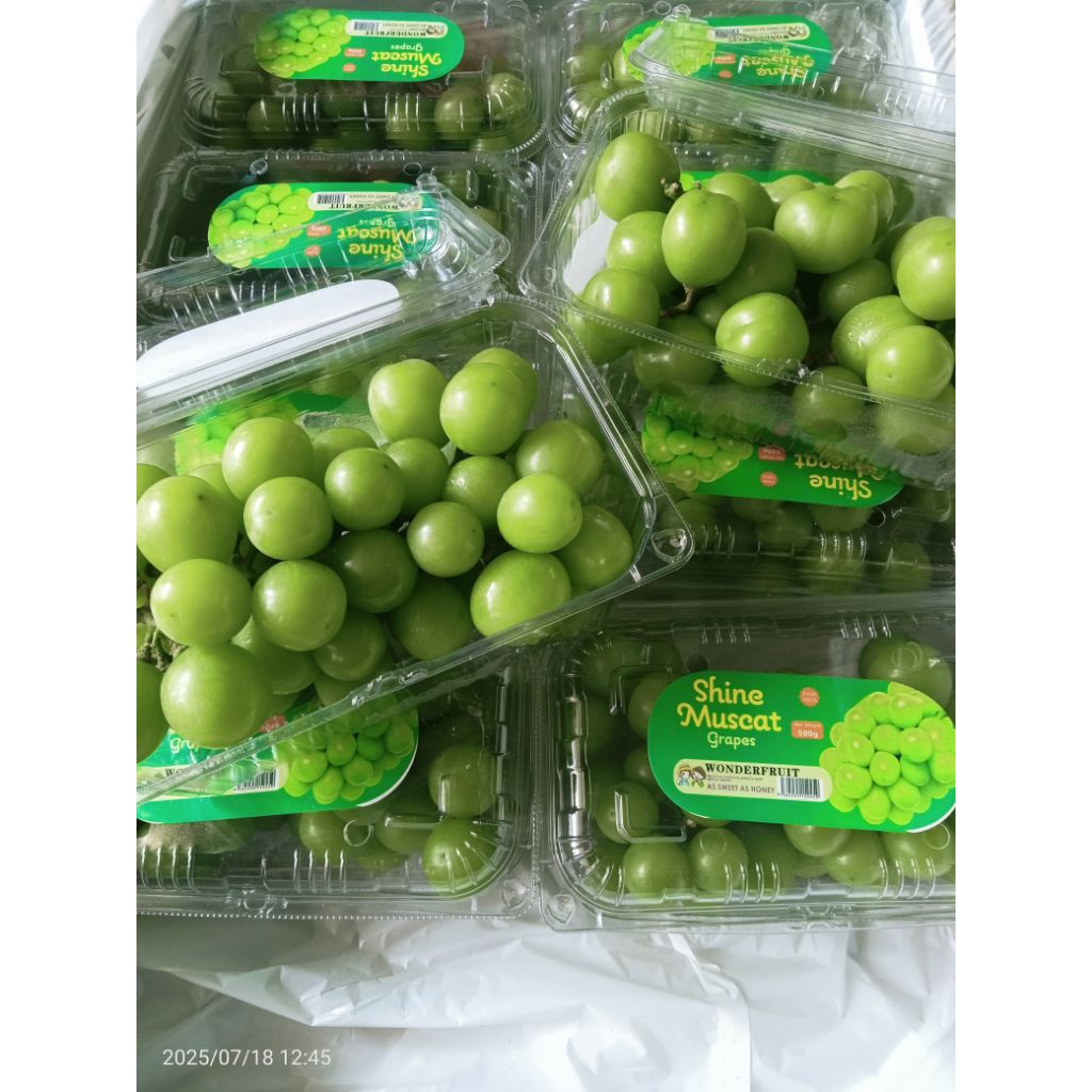 

Buah Anggur Shine Muschat 1pack (500gr)
