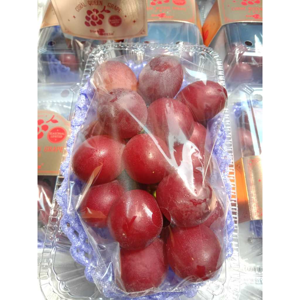 

ANGGUR SEEDLESS NINA QUEEN MANIS ENAK