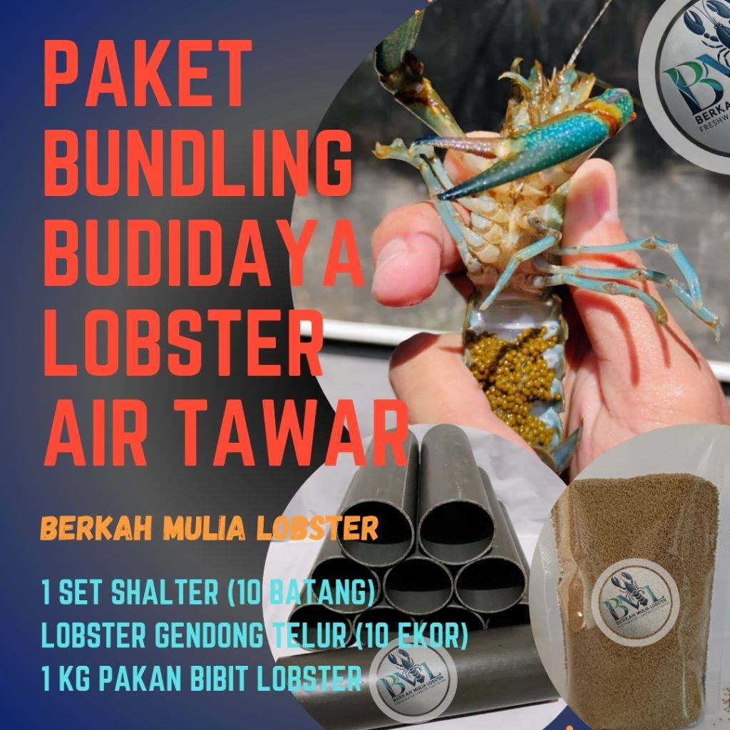 Paket Shalter BUNDLING Budidaya Lobster Air Tawar