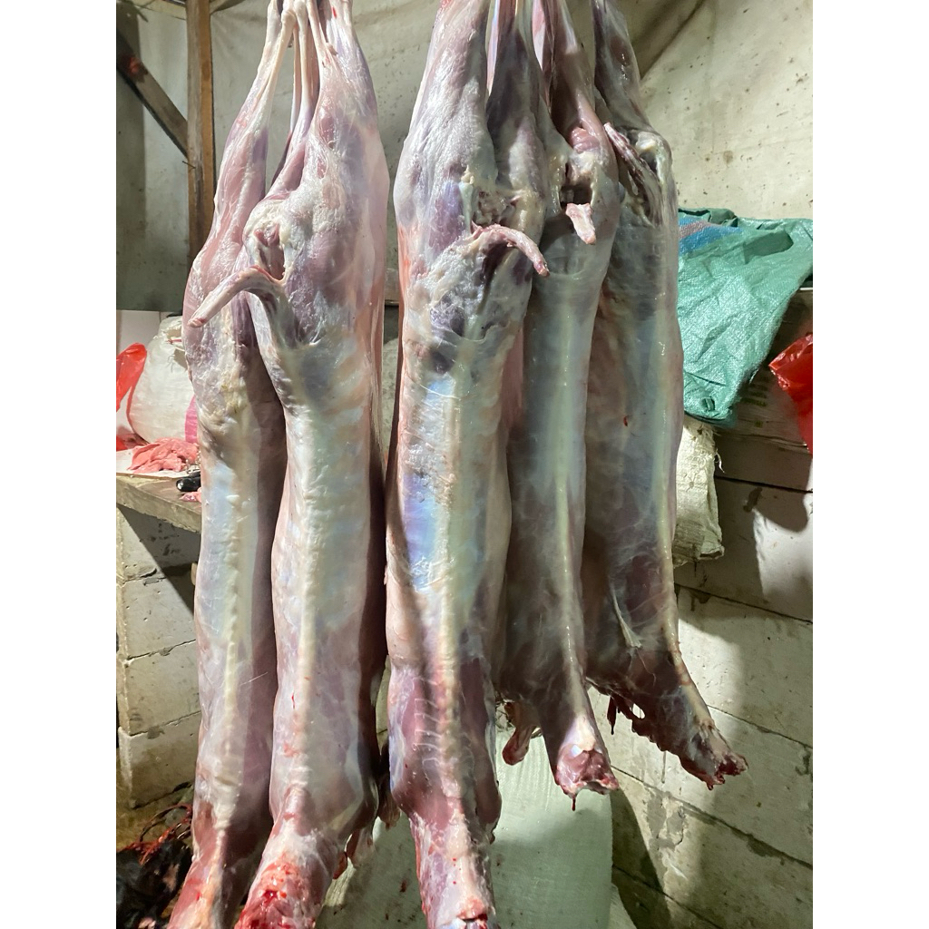 TERMURAH Daging Kambing Karkas Fresh 1Ekor