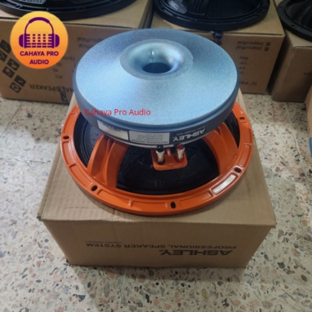 Speaker Ashley Orange 10FR 10 Inch Original Ashley Speaker Ashley 10 Inch Orange 10 FR