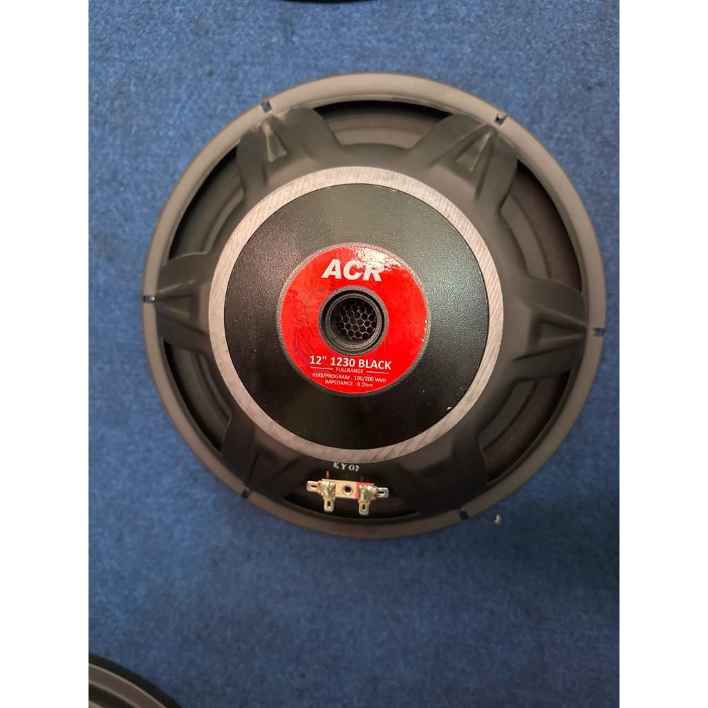 Speaker ACR 12inch