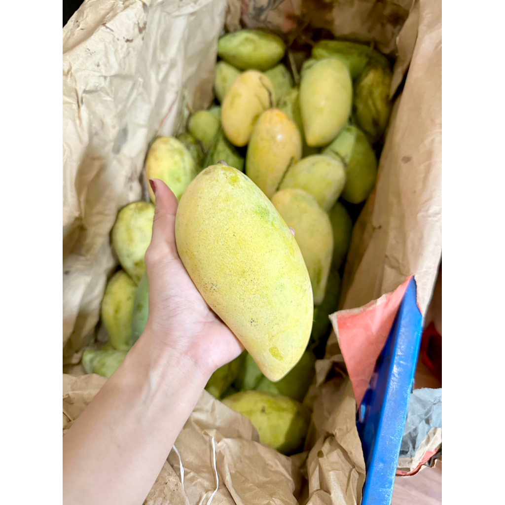 

Mangga Golek Madu Fresh 1kg