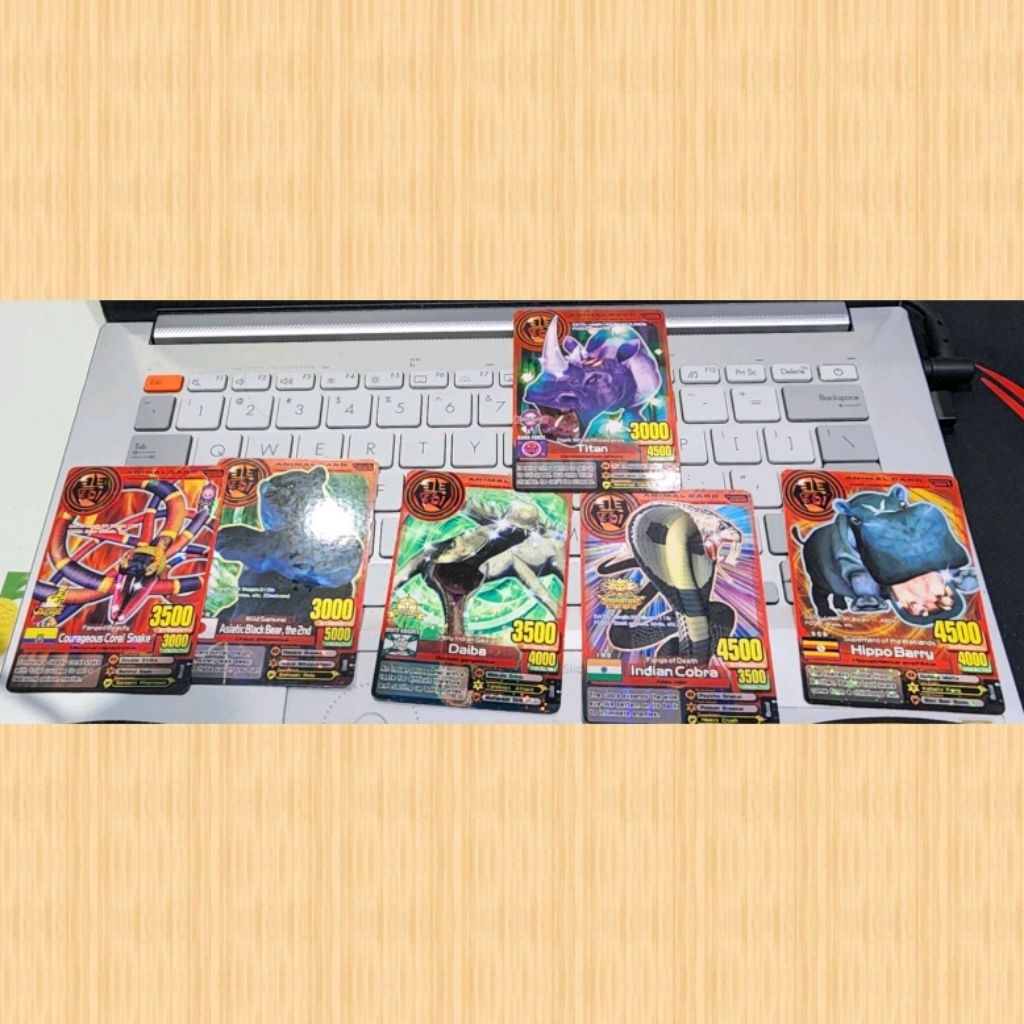 paket animal kaiser animal card normal rare