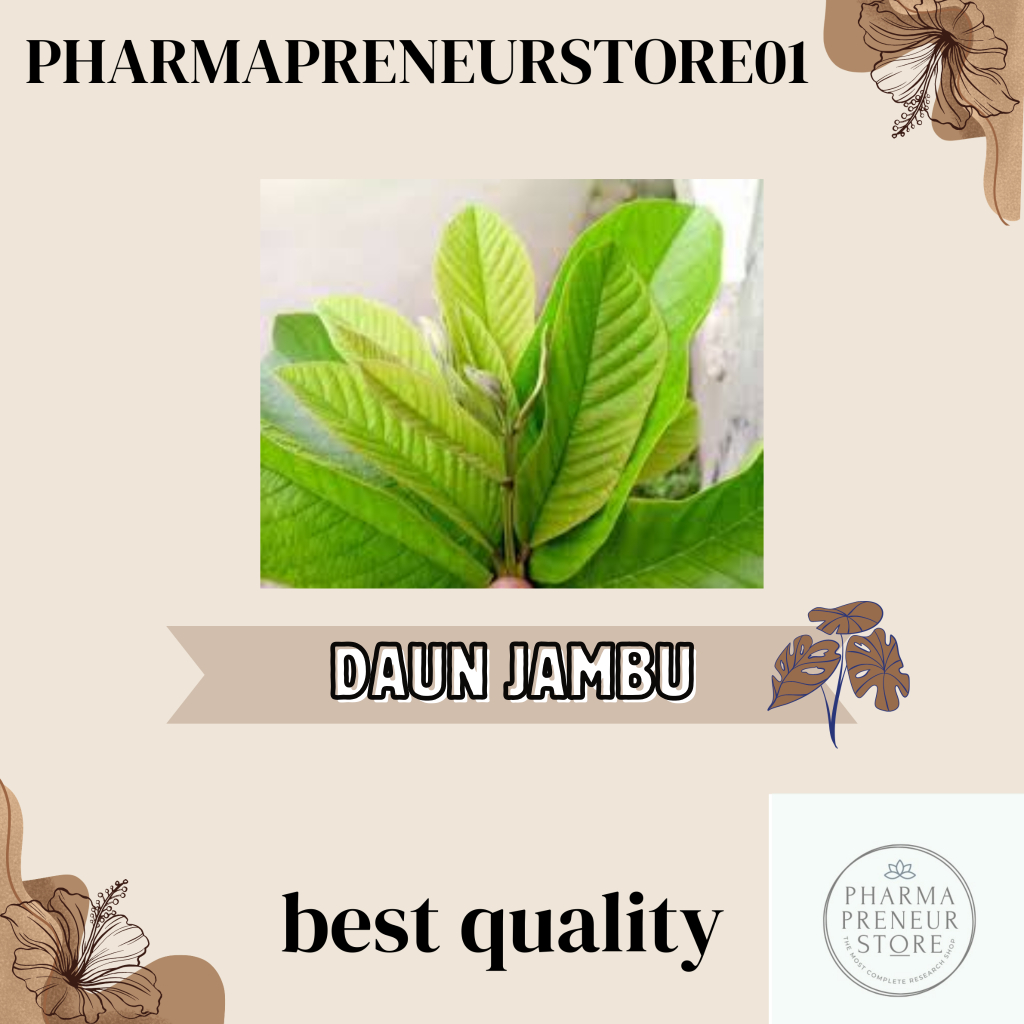 

DAUN JAMBU PER 10 LEMBAR SUPER BEST PRODUCT