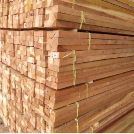 Kaso Kayu Alba 3m 5x5 / Kaso Albasiah 5 x 5 x 3 m - 1 kubik