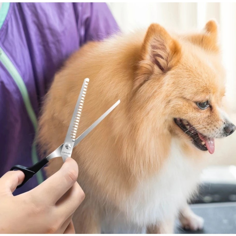 Gunting Sasak Anjing Kucing Gunting cukur Bulu Rambut kucing anjing grooming Pet Grooming