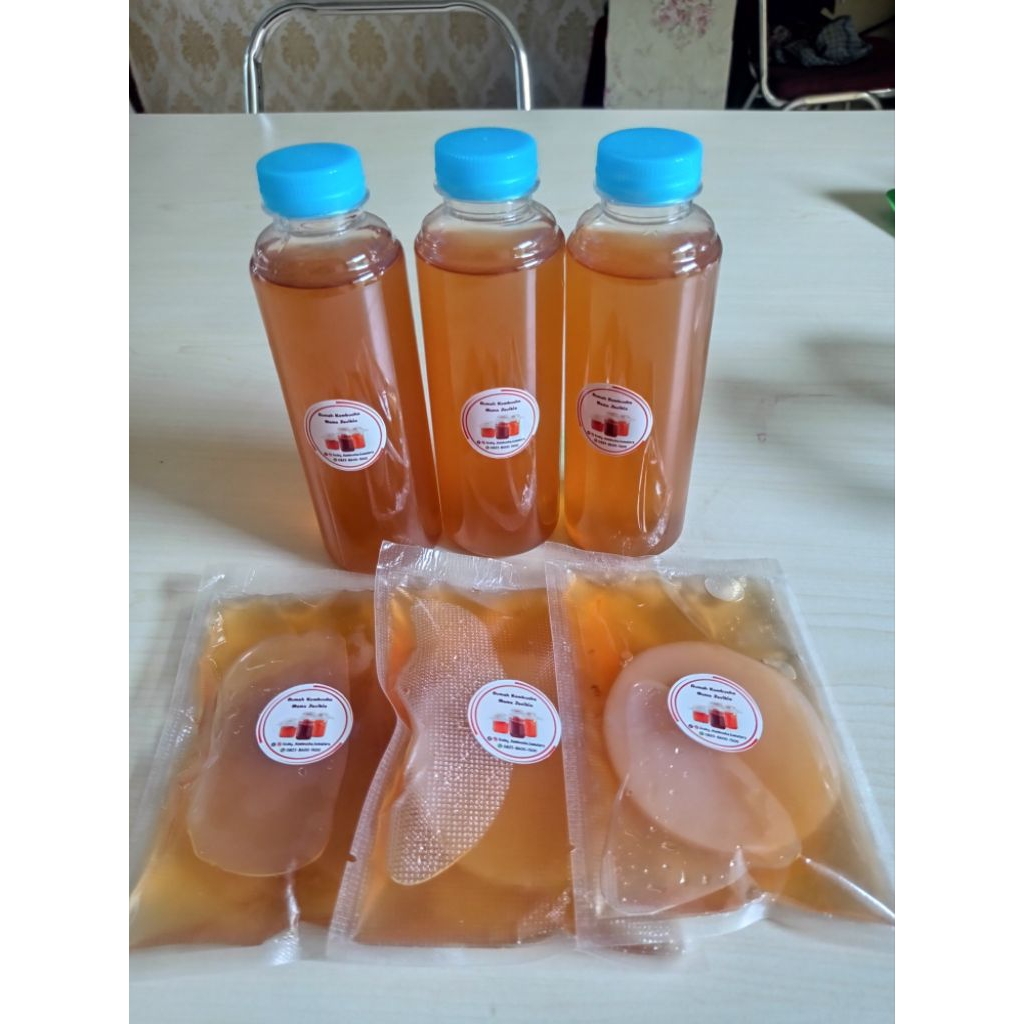 

bibit kombucha / kombucha scoby paket 3 free starter