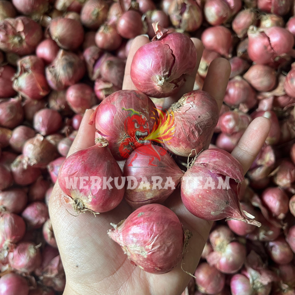 

Bawang merah super 1kg / Bawang merah lokal / Bawang merah jawa / Bawang murah