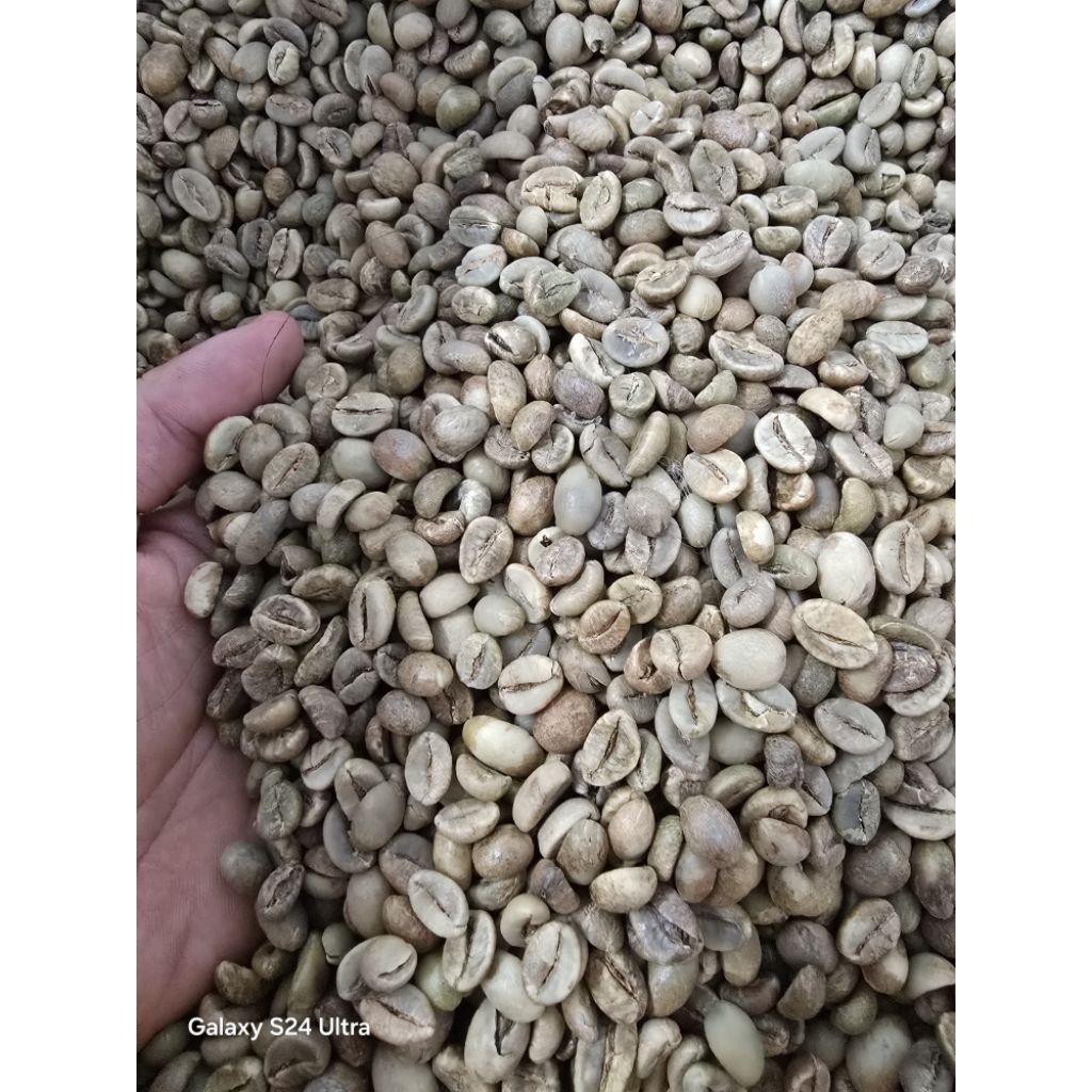 

Greenbean Grade 1 Robusta 1 Kg