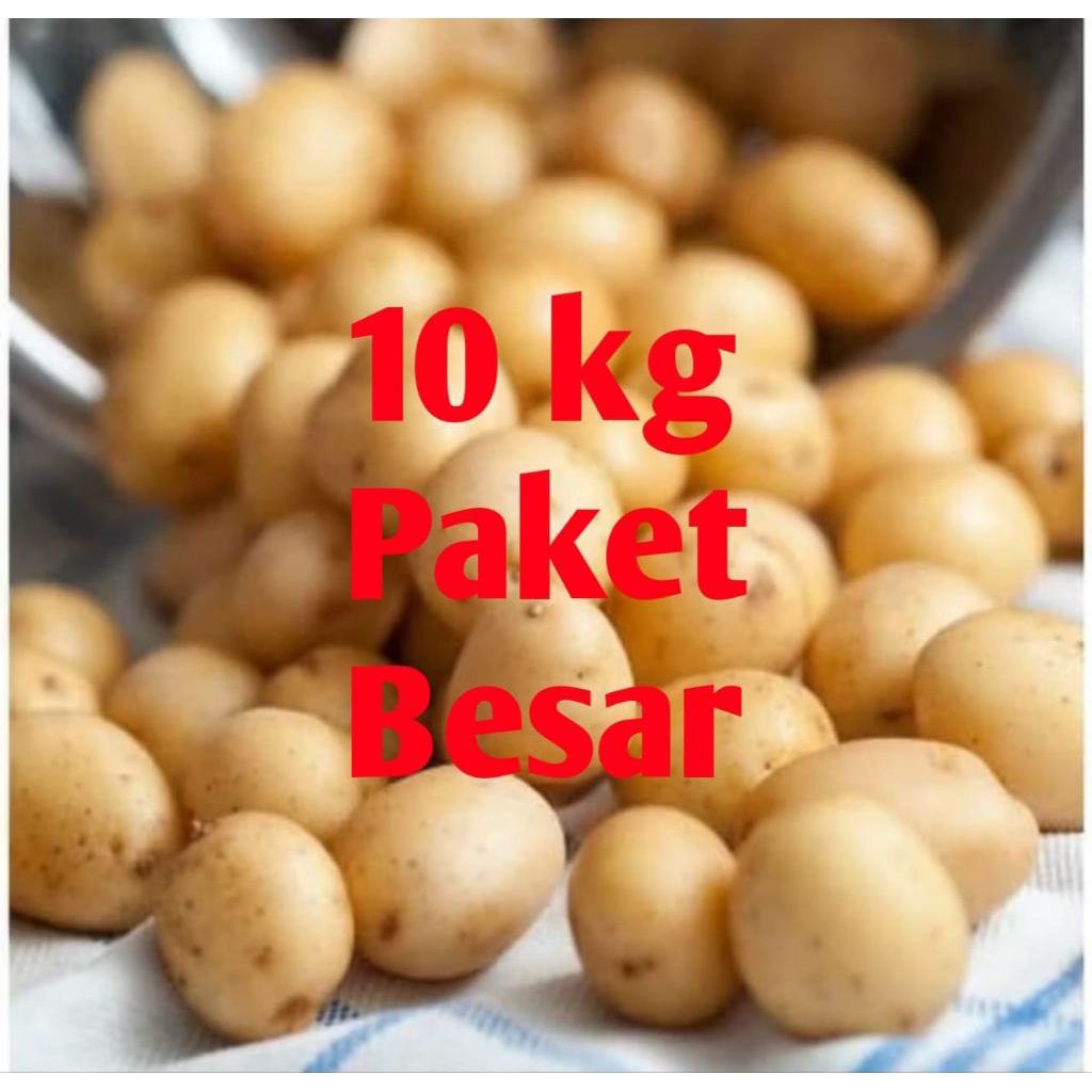 

paket kentang Dieng 10 kg pengiriman banyak