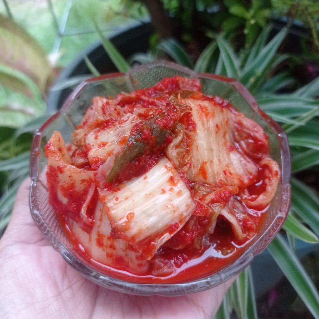 

kimchi sawi putih 100% halal 1000 gram