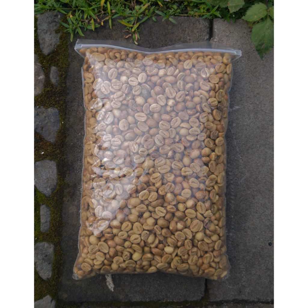 

Green Bean Robusta grade 1 – Kopi Robusta Temanggung | Biji Mentah Kopi Kualitas Premium