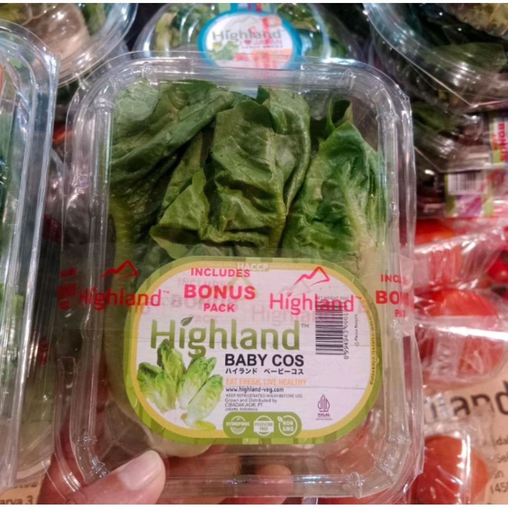 

Highland lattuce baby cos / pack