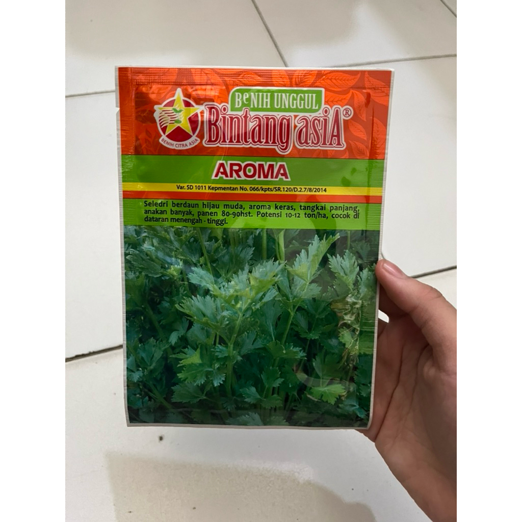 Benih Seledri Daun Sop AROMA 20 Gram - Bintang asia