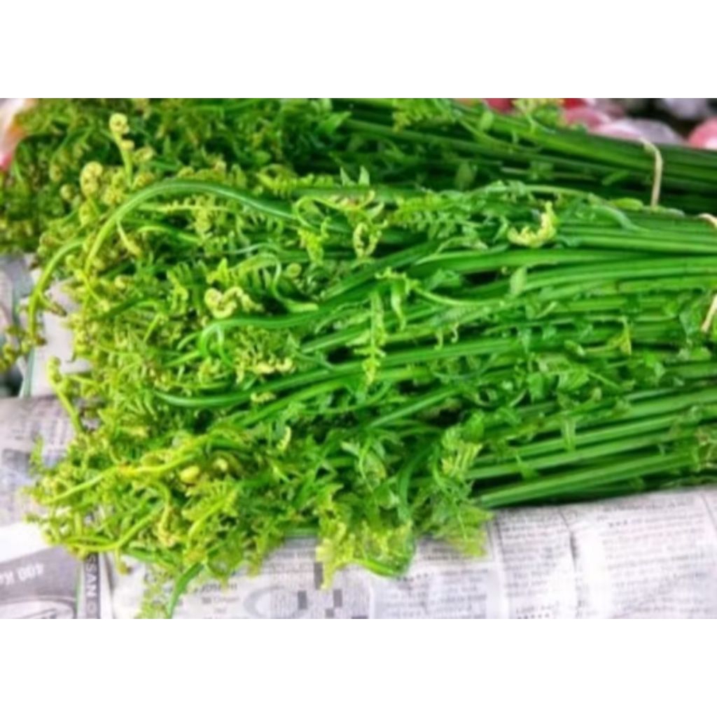 

sayur pakis 1 ikat