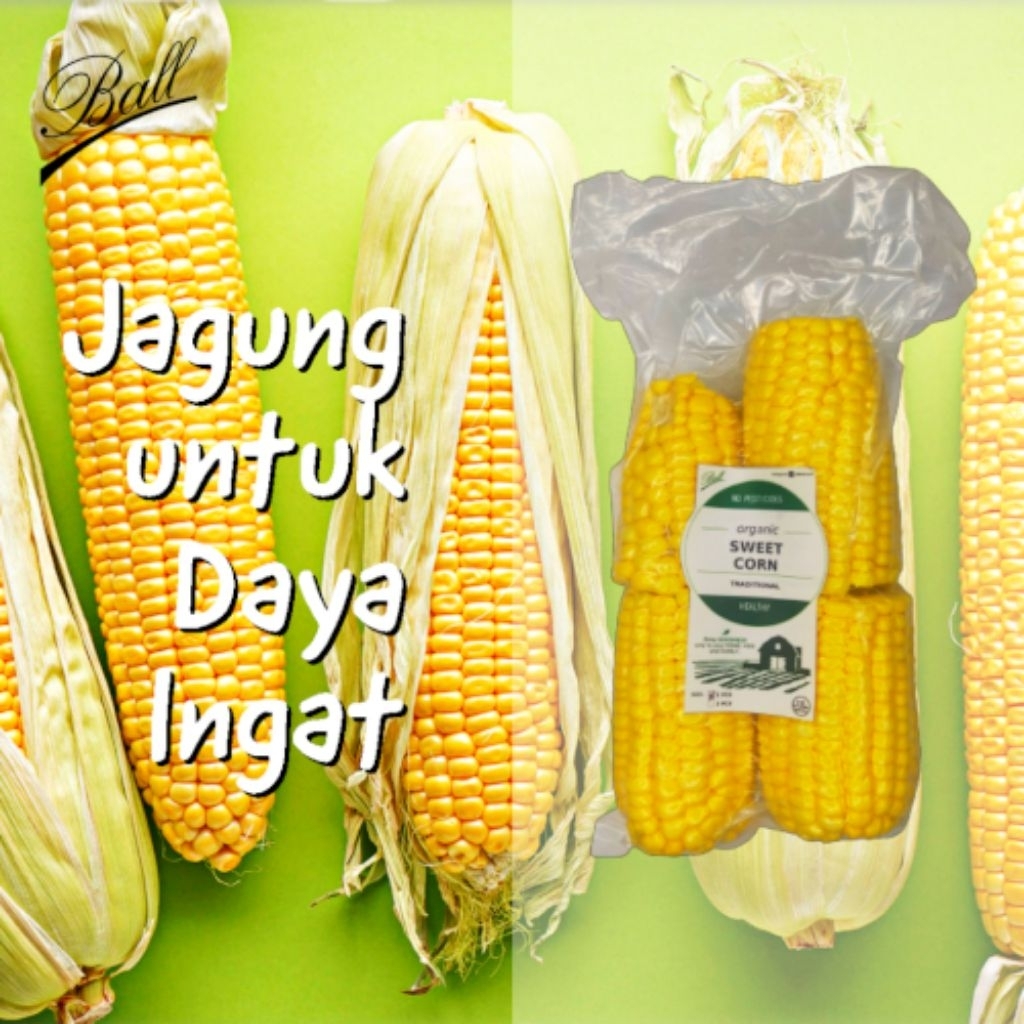 

Jagung Manis tradisional