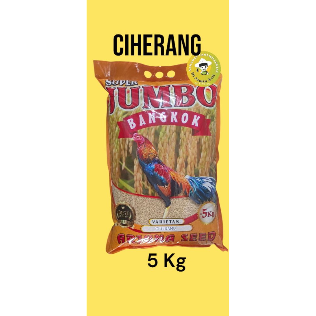 Benih padi Ciherang jumbo 5kg