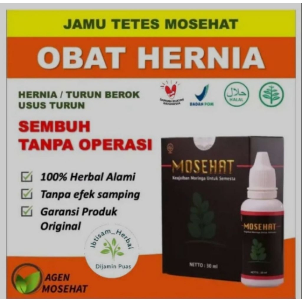 OBAT HERNIA Turun Berok Paling Ampuh MOSEHAT Herbal Original untuk Dewasa dan Anak Original Asli
