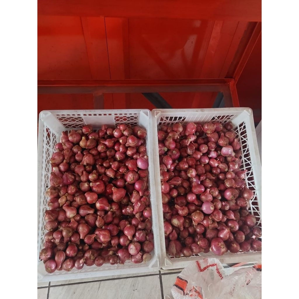

Bawang Merah Per Ons